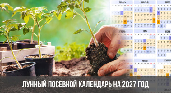 Лунный посевной календарь на 2027 год